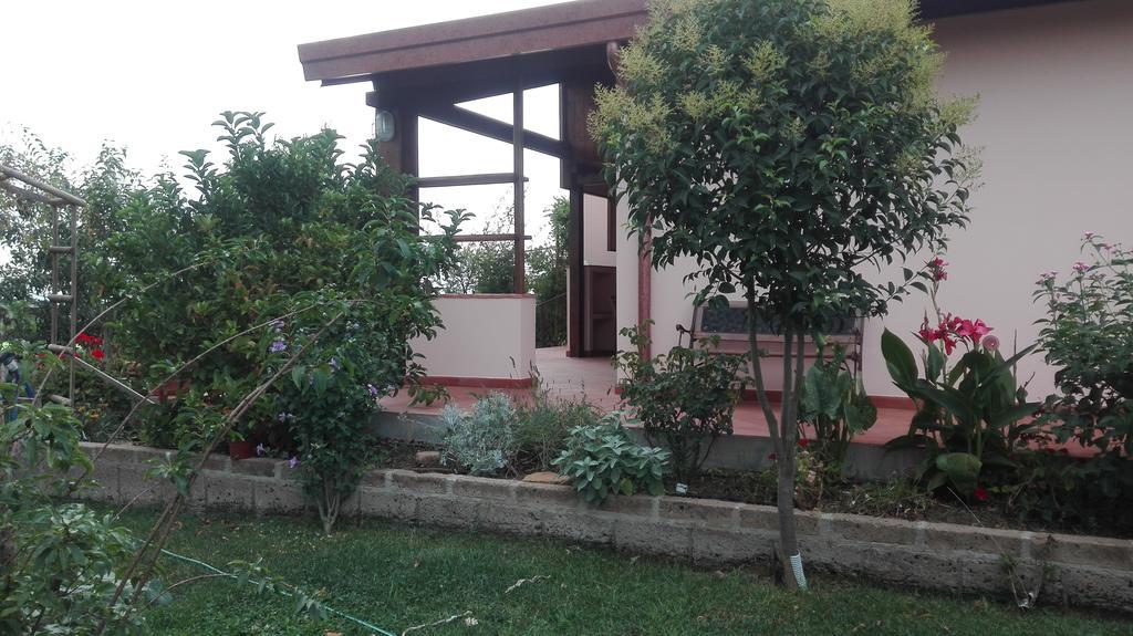 Agriturismo Collelungo Di Maremma Diaccialone エクステリア 写真