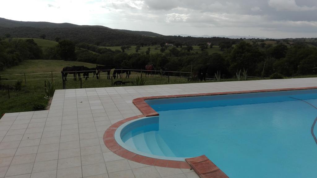 Agriturismo Collelungo Di Maremma Diaccialone エクステリア 写真