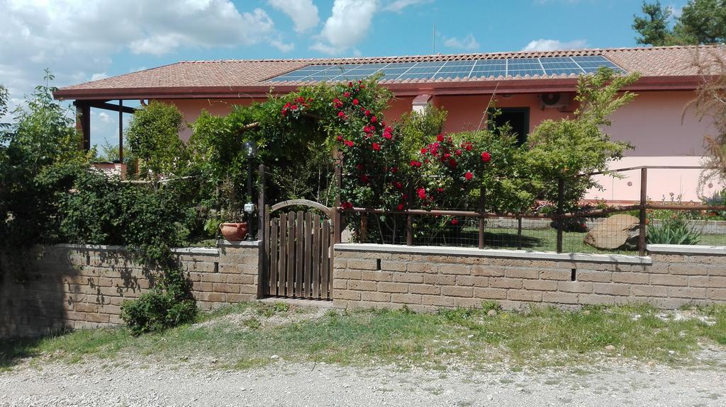 Agriturismo Collelungo Di Maremma Diaccialone エクステリア 写真