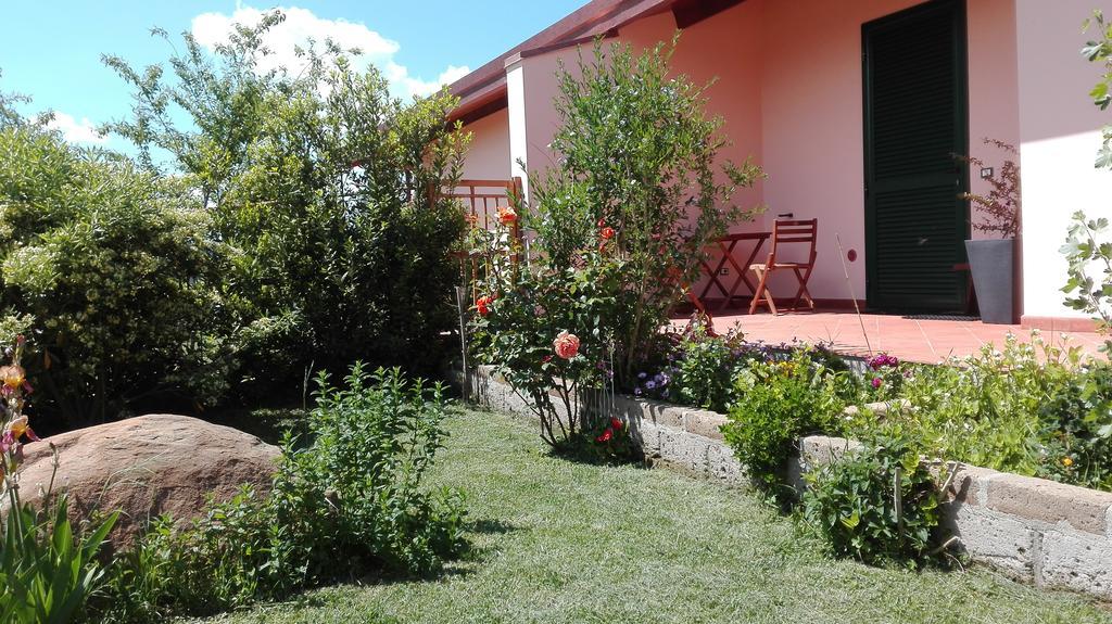 Agriturismo Collelungo Di Maremma Diaccialone エクステリア 写真