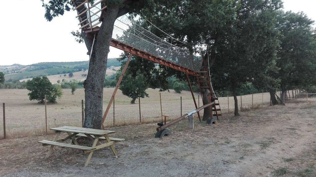 Agriturismo Collelungo Di Maremma Diaccialone エクステリア 写真