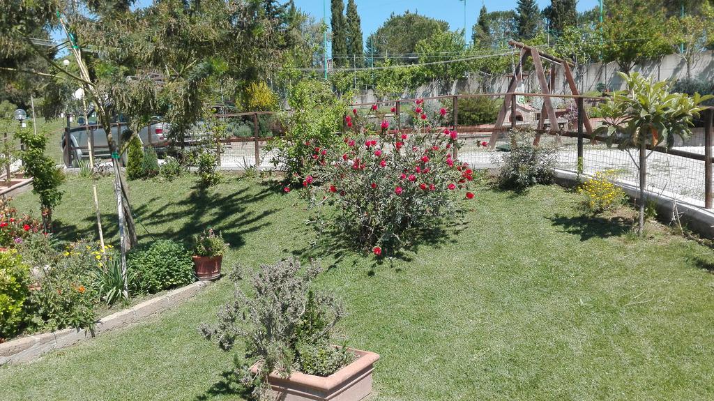 Agriturismo Collelungo Di Maremma Diaccialone エクステリア 写真