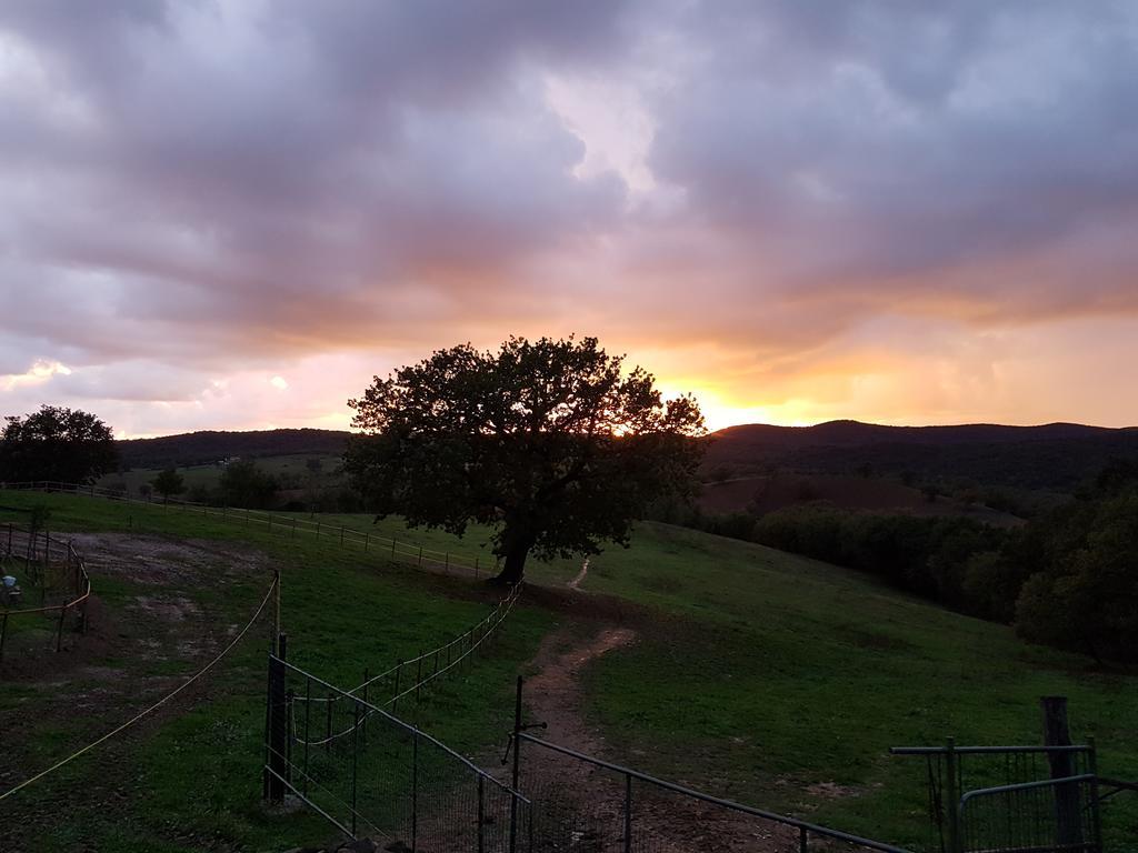 Agriturismo Collelungo Di Maremma Diaccialone エクステリア 写真