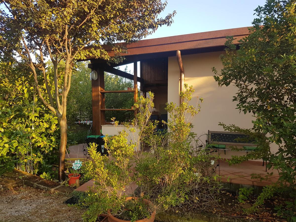 Agriturismo Collelungo Di Maremma Diaccialone エクステリア 写真