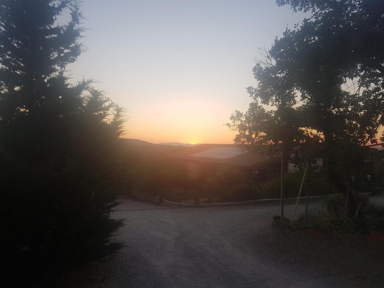 Agriturismo Collelungo Di Maremma Diaccialone エクステリア 写真